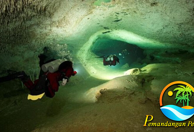 Monako dan Laut: Menyelami Keindahan Bawah Air