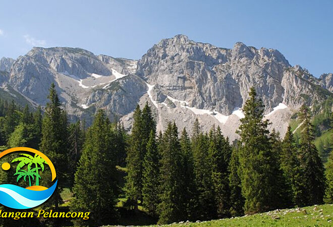 Petualangan Seru di Taman Nasional Austria