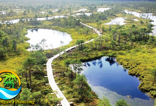 Keindahan Alam Semulajadi Taman Nasional Kemeri