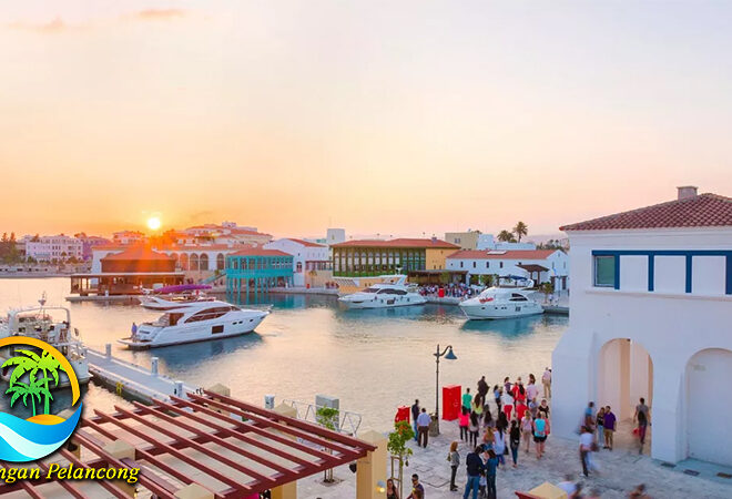 Mencicipi Wine Terbaik di Lembah Wine Limassol