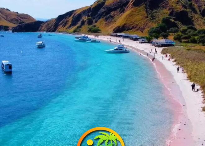 Eksplorasi Pantai Pink Lombok